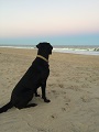 Vader's first beach